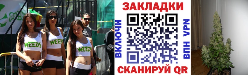 A-PVP Старая Русса