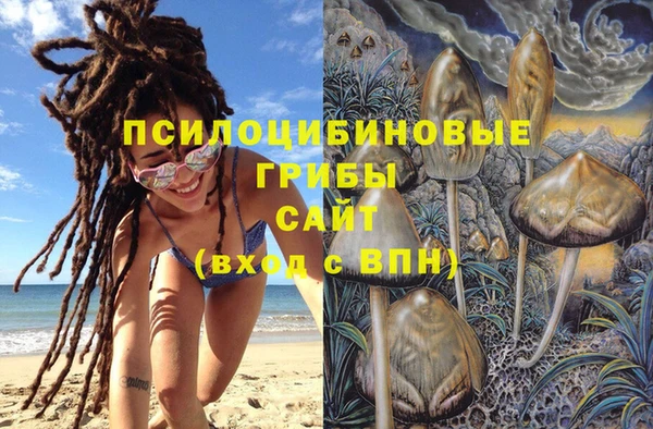 амф Балахна