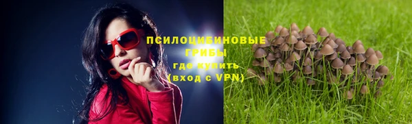 бошки Арсеньев