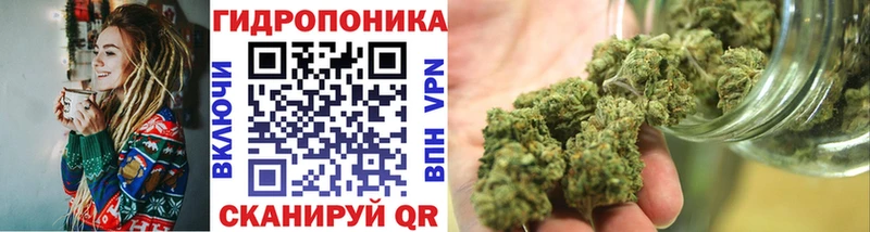 МАРИХУАНА Amnesia  Старая Русса 